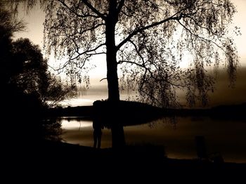 Silhouette trees at sunset