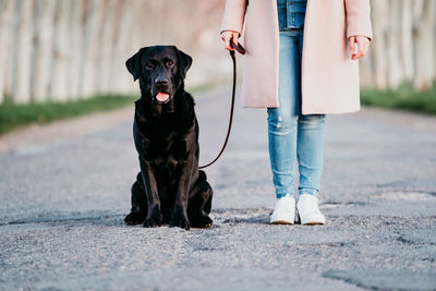 Low section of woman standing by dog
