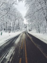 Snow covered road along trees