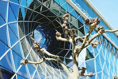 Tree in front of modern building during the day