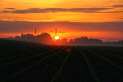 Scenic view of agricultural field against sky during sunset