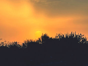 Silhouette trees against sky during sunset