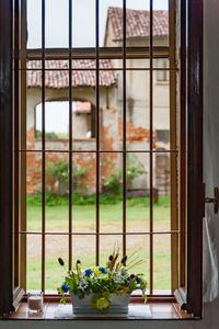 Close-up of potted plants on window sill