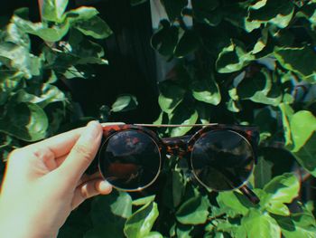 Close-up of hand holding sunglasses on plant