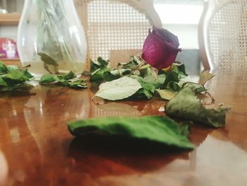 Close-up of vegetables on table