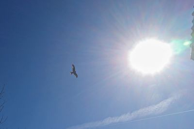 Low angle view of airplane flying in sky