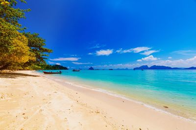 Scenic view of beach against blue sky