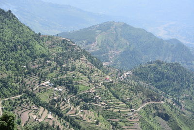 High angle view of trees on landscape