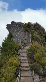 Walkway amidst trees against sky