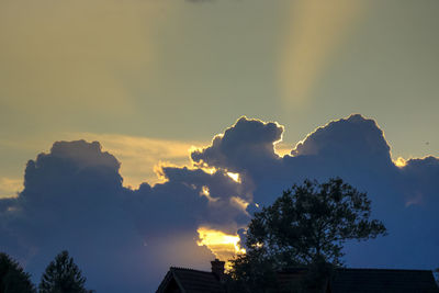 Low angle view of silhouette trees against sky during sunset