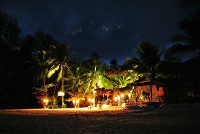 Lit lamps along palm trees in the dark