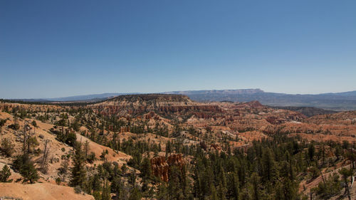 Scenic view of landscape against clear sky