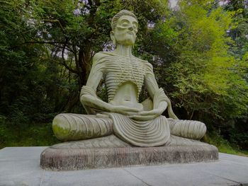 Statue of buddha