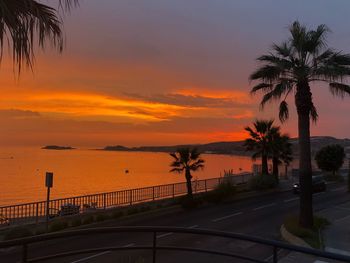 Silhouette palm trees by sea against sky during sunset