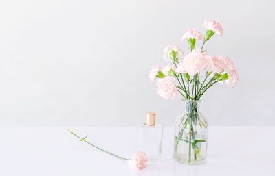 Flower vase on table against white background