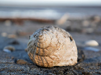 Close-up of rocks on beach