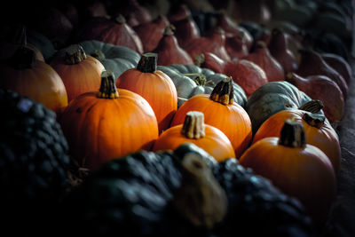 Full frame shot of pumpkins