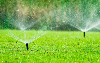 Water drops on grass in field