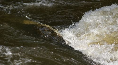 Waves splashing on rocks