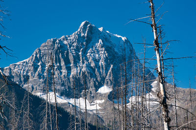 Low angle view of snowcapped mountain against blue sky