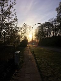 View of trees against sky