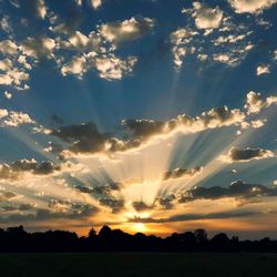 Scenic view of silhouette trees against sky during sunset