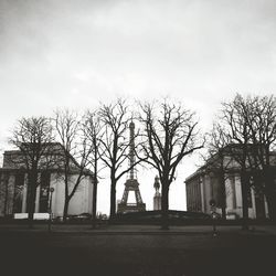 Bare trees against the sky