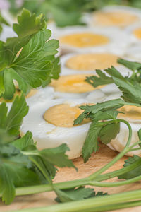 Close-up of leaves in plate on table