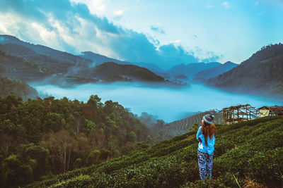 Rear view of woman standing by plants against sky