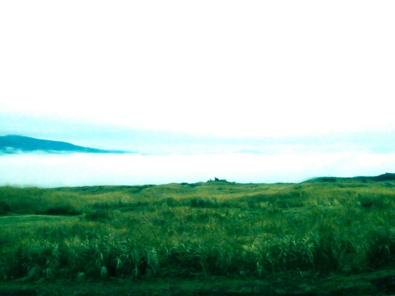 SCENIC VIEW OF GREEN LANDSCAPE AGAINST SKY