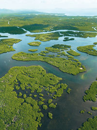 High angle view of lake