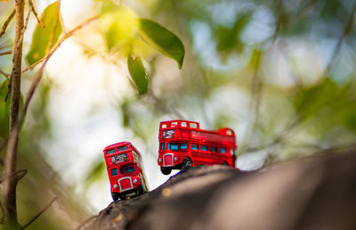 Close-up of toy car