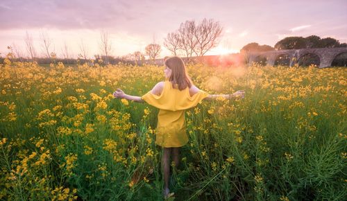 Rear view of woman standing amidst yellow flowering plants on field
