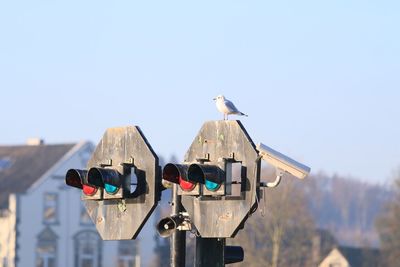 Bird perching on road signal against clear sky