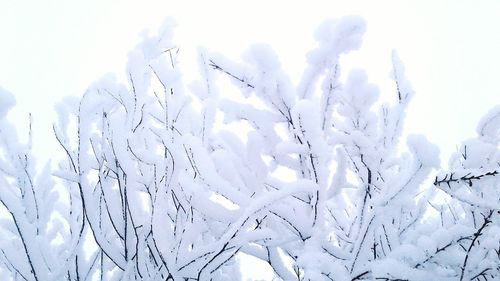 Close-up of snow covered land against sky