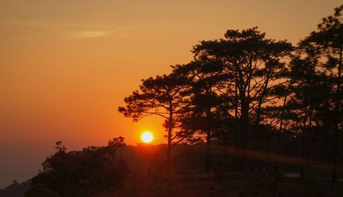 Silhouette trees against sky during sunset