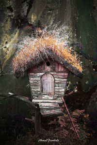 Close-up of birdhouse on old building