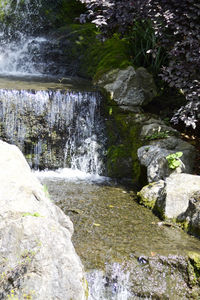 Scenic view of waterfall