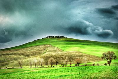 Scenic view of grassy field against cloudy sky