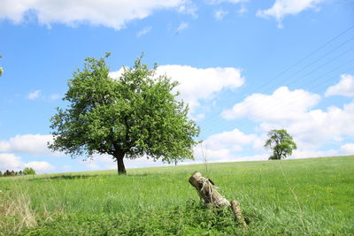 Tree on field against sky