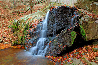 Scenic view of waterfall