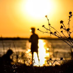Scenic view of sunset