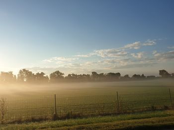 Scenic view of field against sky