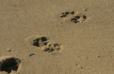 High angle view of sand on beach