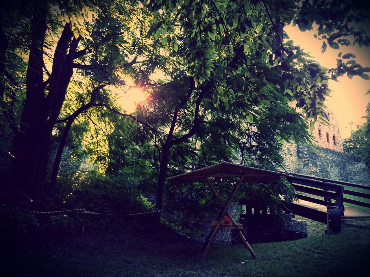 tree, tranquility, railing, growth, bench, sunlight, nature, branch, tranquil scene, wood - material, built structure, park - man made space, beauty in nature, sky, no people, empty, absence, sunset, outdoors, sun