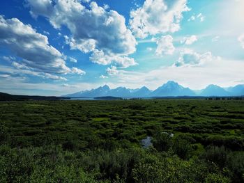 Scenic view of field against sky