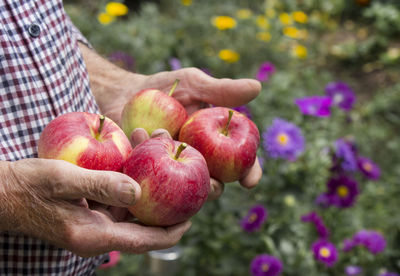 Close-up of hand holding berries