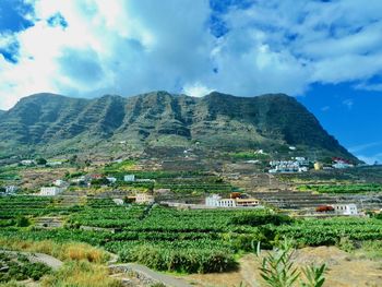Scenic view of agricultural field by mountains against sky