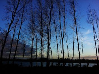 Silhouette of bare trees against sky at sunset