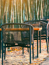 Chairs and tables to sit and relax beside the path in the natural green bamboo garden. 